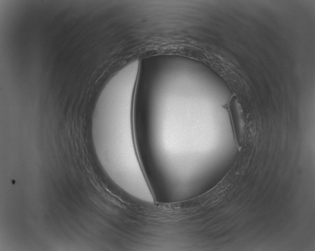 X0000084600756200702231036