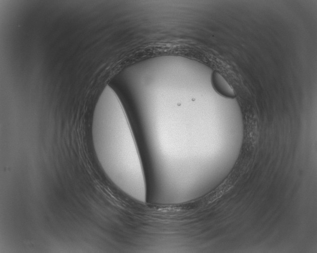 X0000084600758200702231036