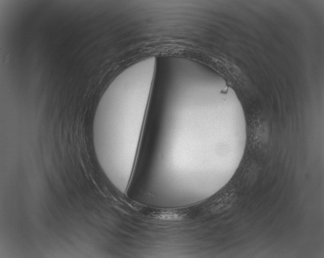 X0000084600759200702231036