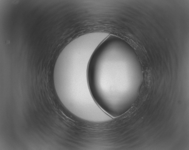 X0000084600760200702231036