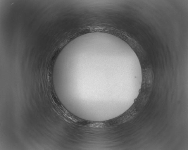 X0000084600761200702231036