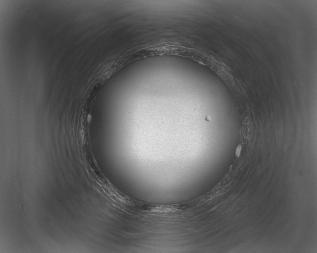 X0000084600762200702231036
