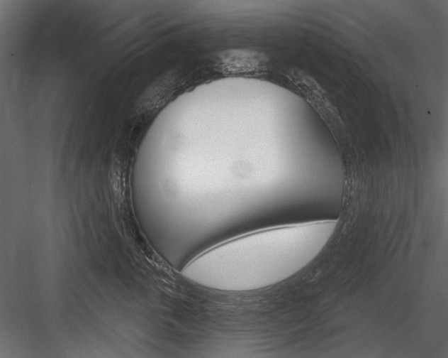 X0000084600763200702231036