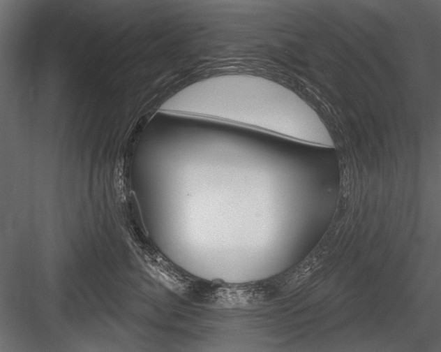 X0000084600764200702231036