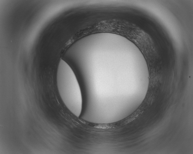 X0000084600765200702231036