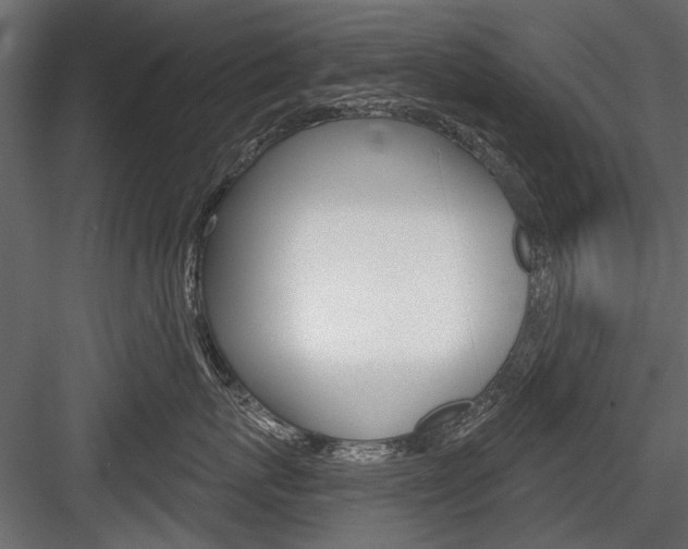 X0000084600767200702231036