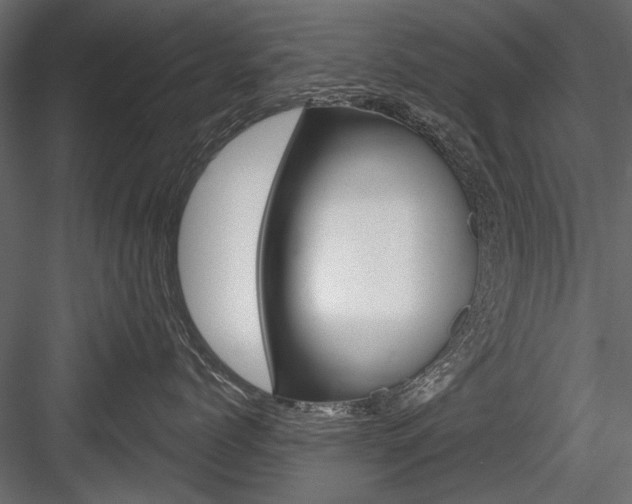 X0000084600768200702231036