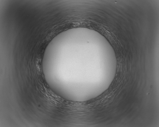 X0000084600770200702231035