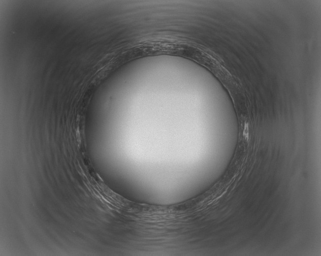 X0000084600771200702231035