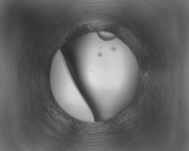 X0000084600772200702231035