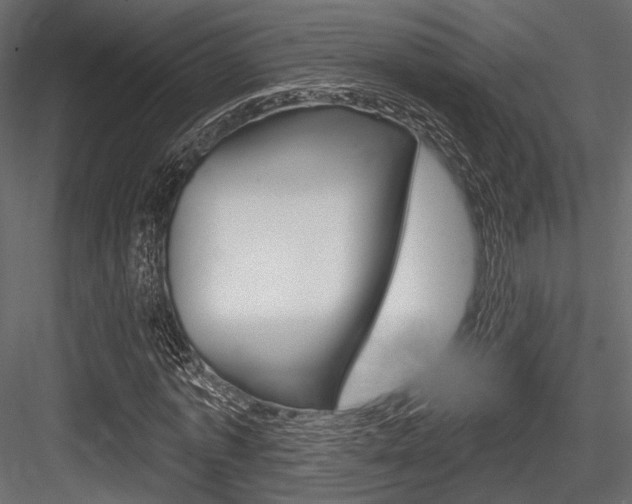 X0000084600773200702231035