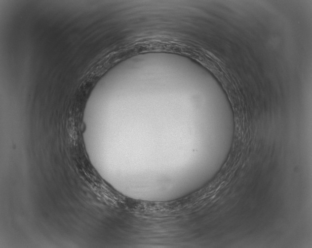X0000084600774200702231035