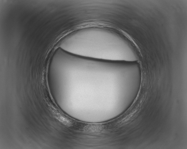 X0000084600778200702231035