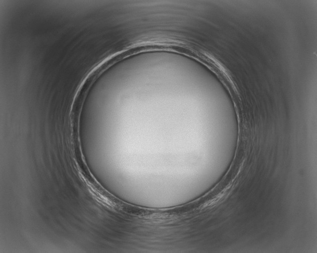 X0000084600779200702231035