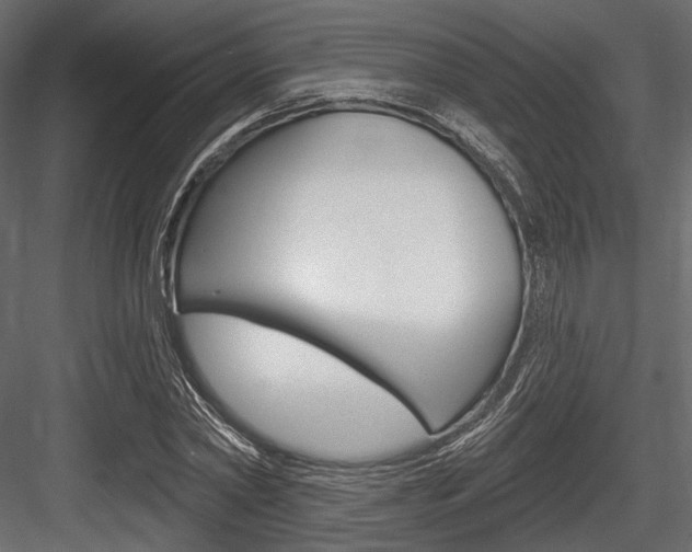 X0000084600782200702231035