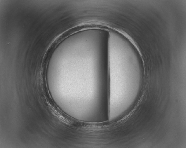 X0000084600783200702231035