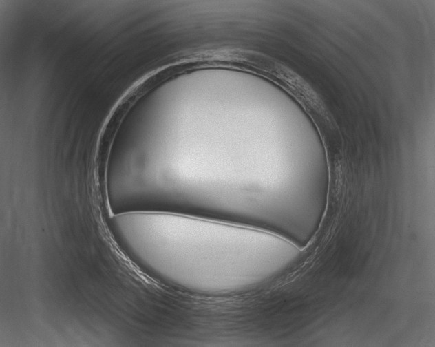 X0000084600784200702231035