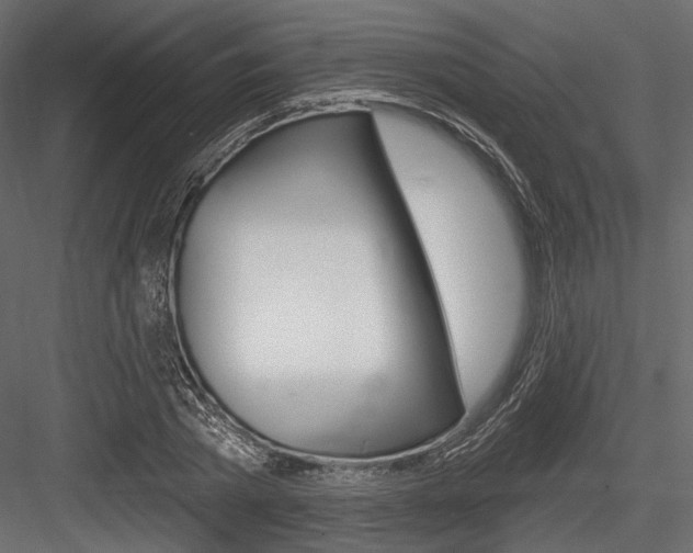 X0000084600785200702231035