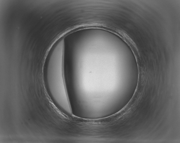 X0000084600789200702231035