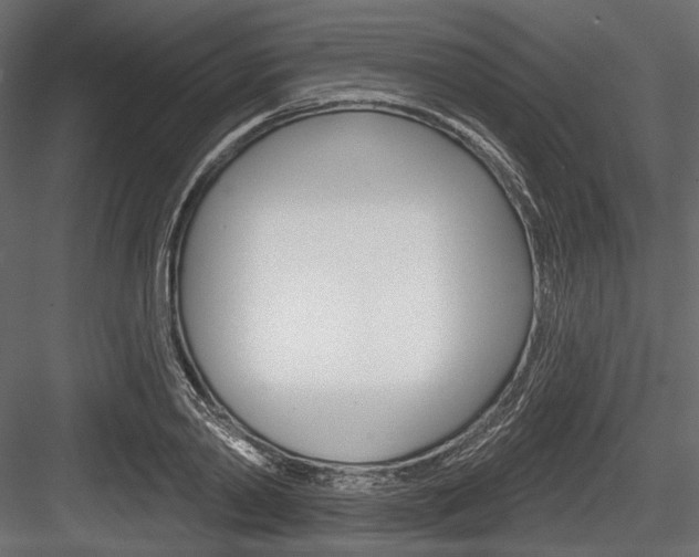 X0000084600790200702231035