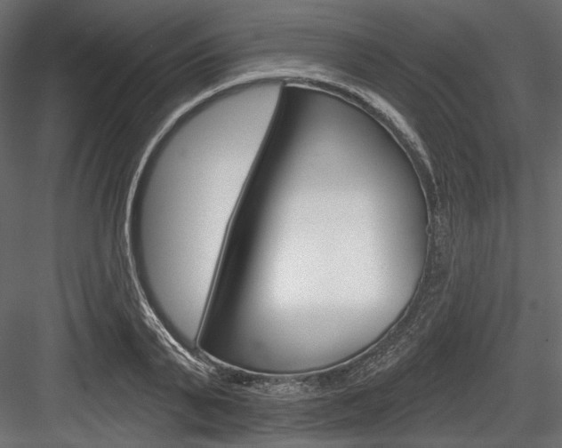 X0000084600791200702231035