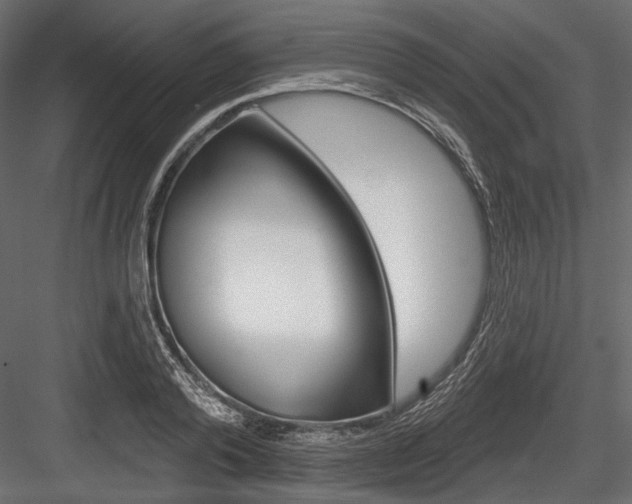 X0000084600792200702231035