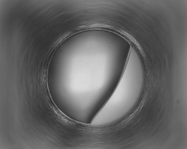 X0000084600793200702231035