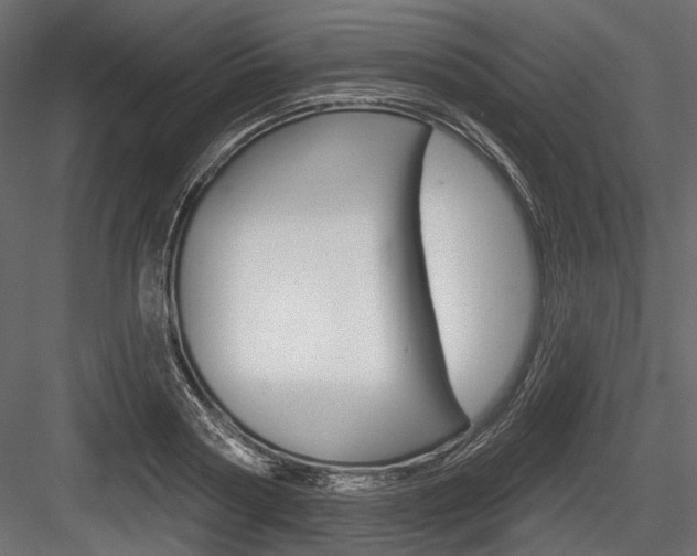 X0000084600794200702231035