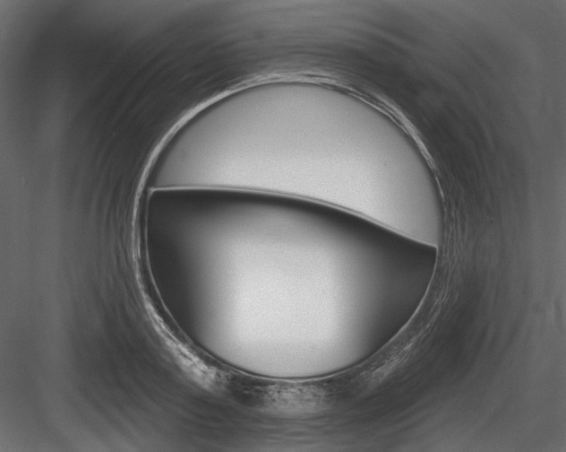 X0000084600795200702231035