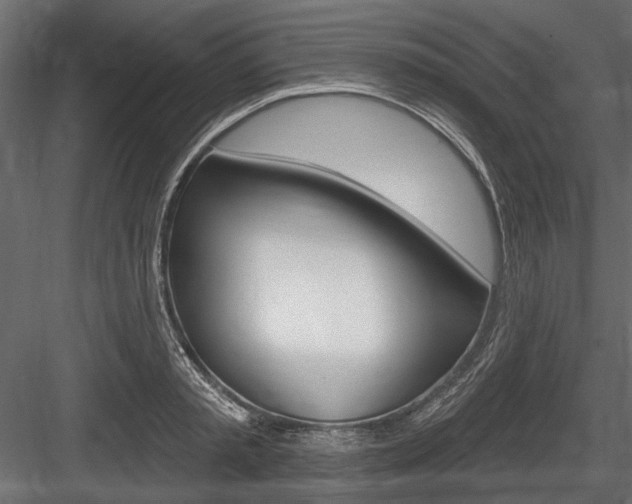 X0000084600797200702231035