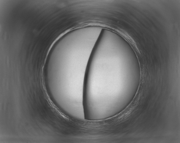 X0000084600798200702231035