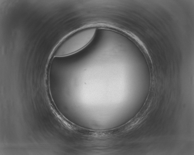 X0000084600799200702231035