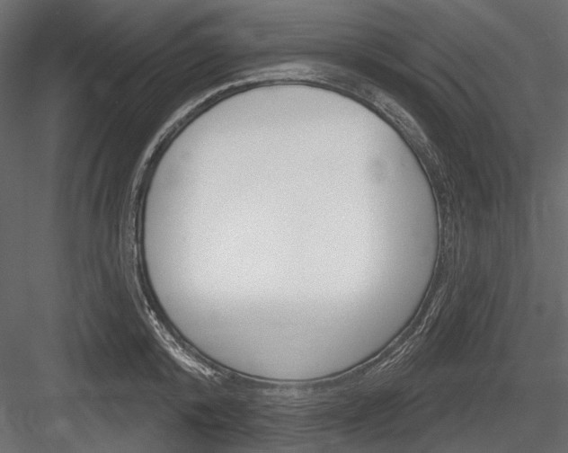 X0000084600800200702231034