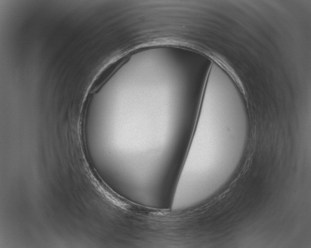 X0000084600805200702231034