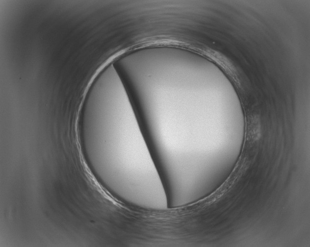 X0000084600806200702231034