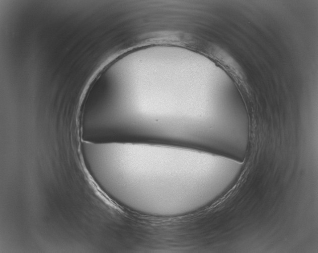 X0000084600808200702231034