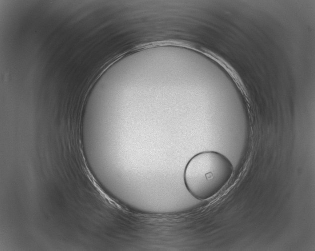 X0000084600809200702231034