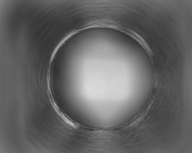 X0000084600812200702231034