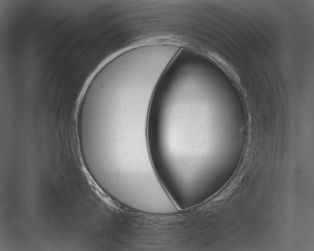 X0000084600816200702231034