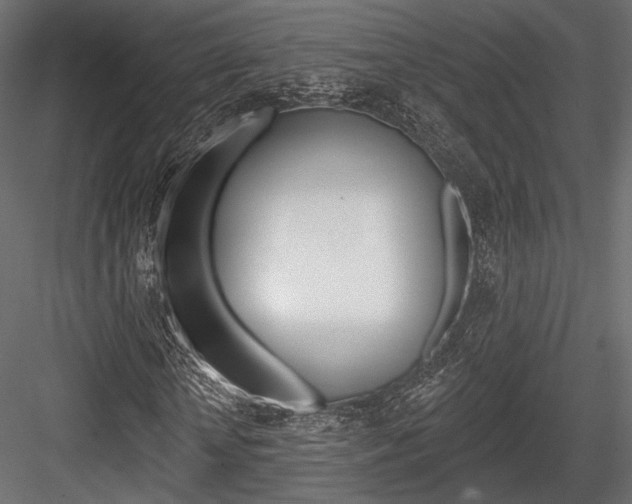 X0000084600818200702231033