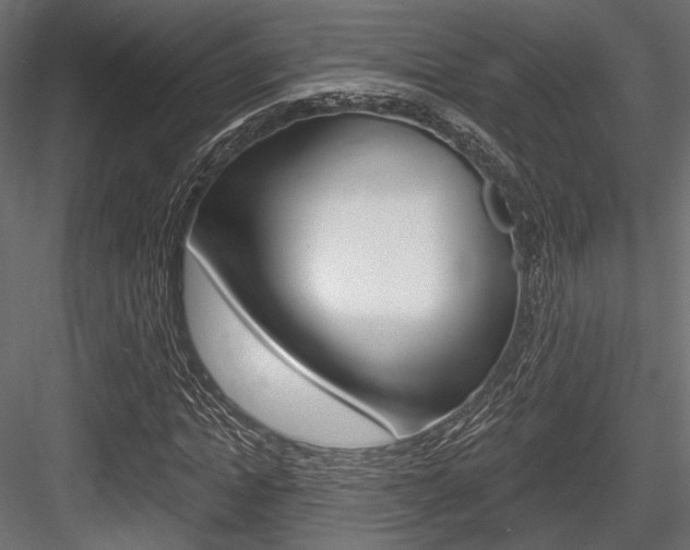 X0000084600822200702231033