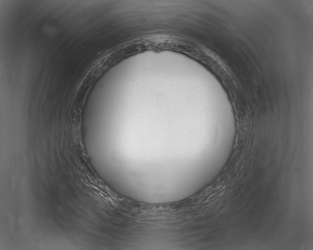 X0000084600823200702231033