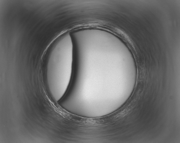 X0000084600827200702231034