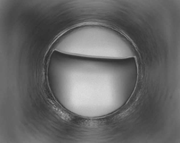 X0000084600829200702231034