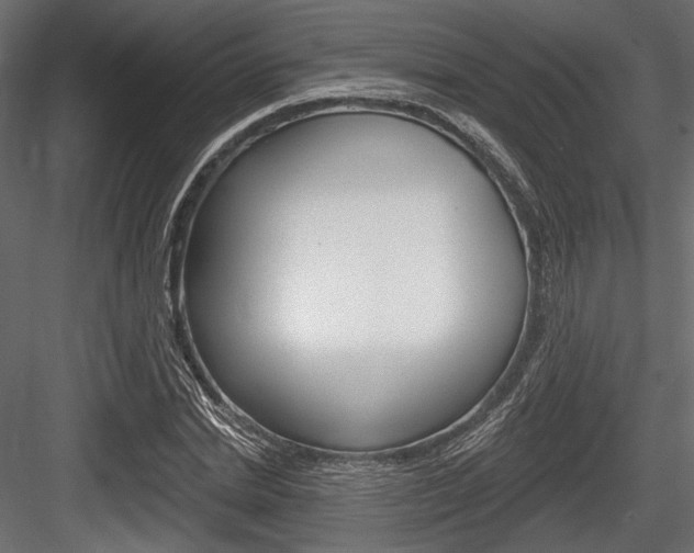X0000084600830200702231034