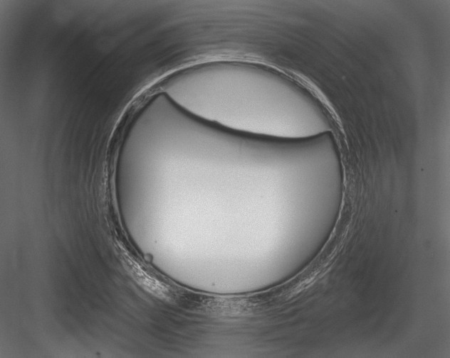 X0000084600831200702231034