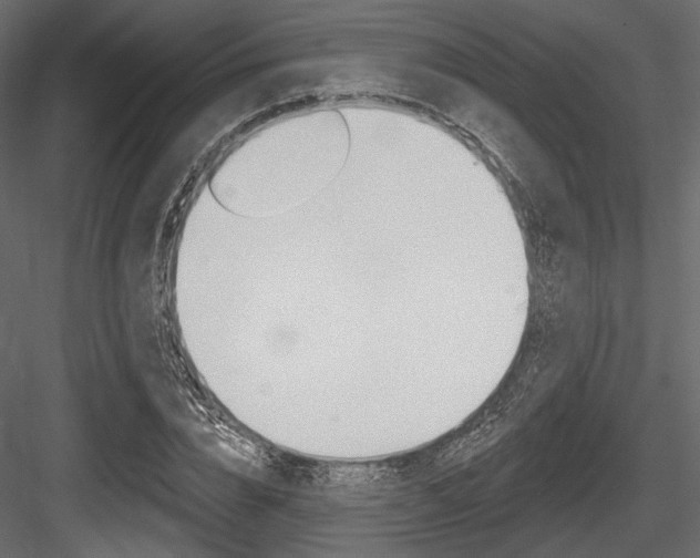 X0000084600832200702231034