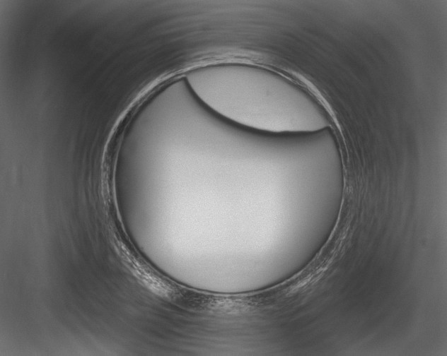 X0000084600835200702231034