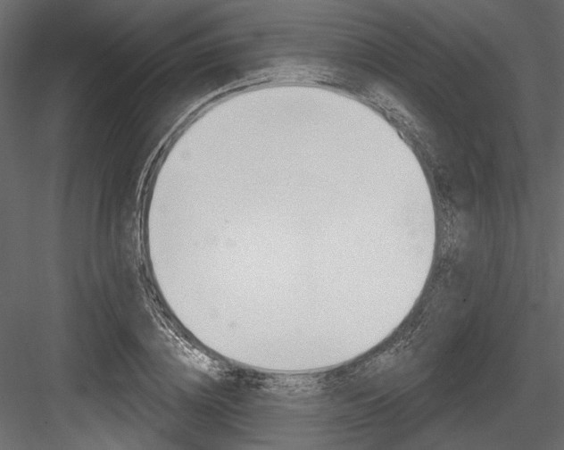 X0000084600836200702231034