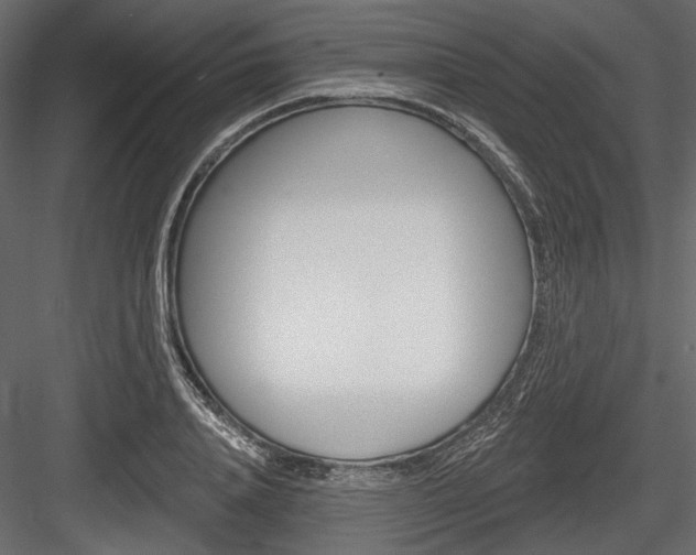 X0000084600840200702231034